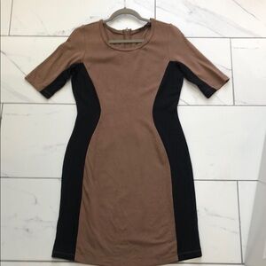 The Limited Sheath Dress Brown Black Short Sleeve Crew Neck